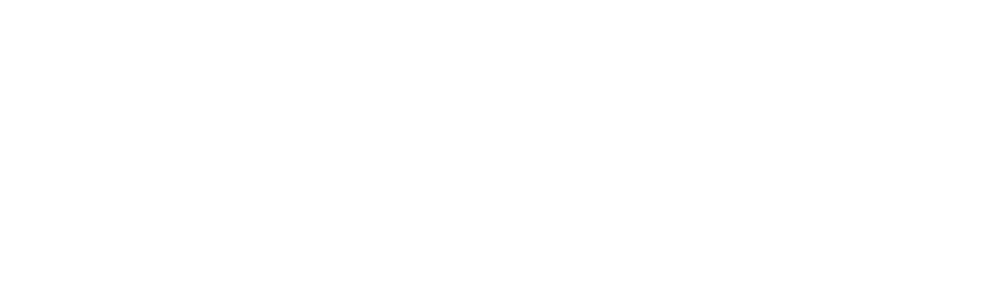 molodes-logo